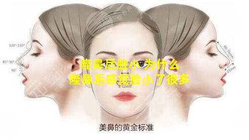 隆鼻后脸小 为什么隆鼻后感觉脸小了很多